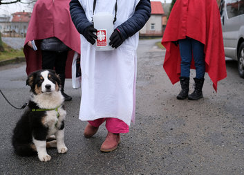 Tři krále možná v ulicích nepotkáte, přesto koledovat budou