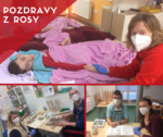 Pozdrav Rosa