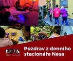Nesa