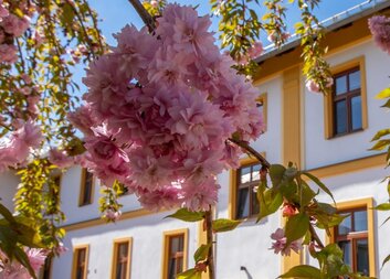 Březen v Charitním domově Moravec