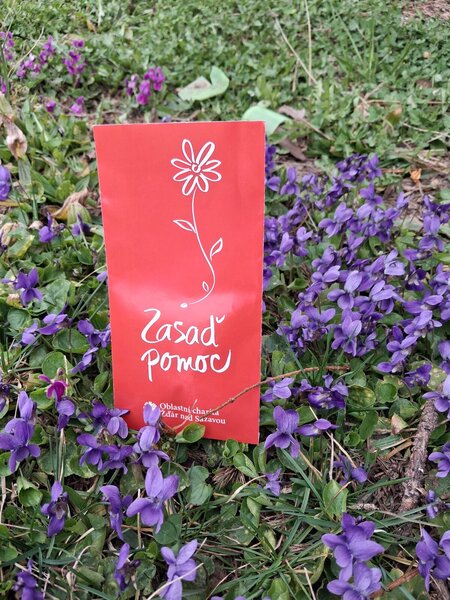 657384005_122115284361230231_6557388851385657924_n